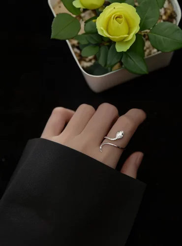 Bague serpent femme argent