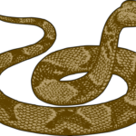 rever de tuer un serpent