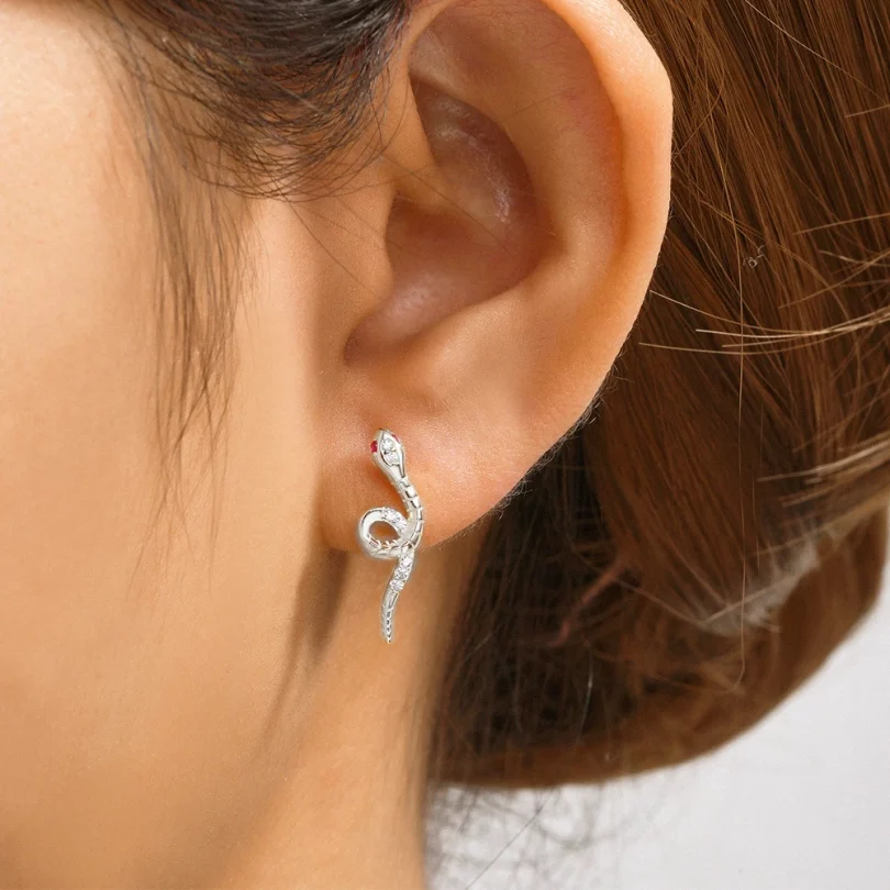 Boucles D'Oreilles Serpent  Dionea - Argent – Image 4