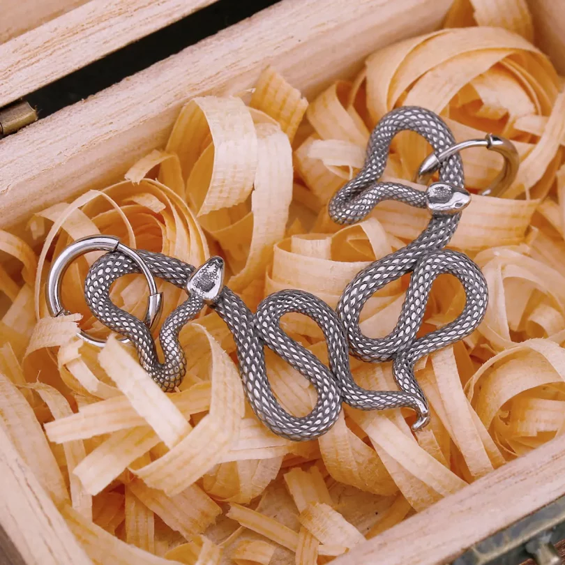 Boucles D'Oreilles Serpent Eione - Acier inoxydable – Image 2