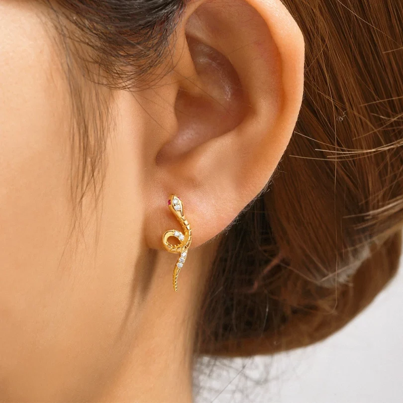 Boucles D'Oreilles Serpent  Dionea - Argent – Image 2
