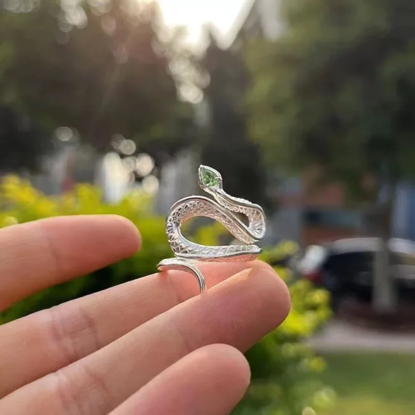 Bague Serpent Némésis - Acier Inoxydable – Image 6